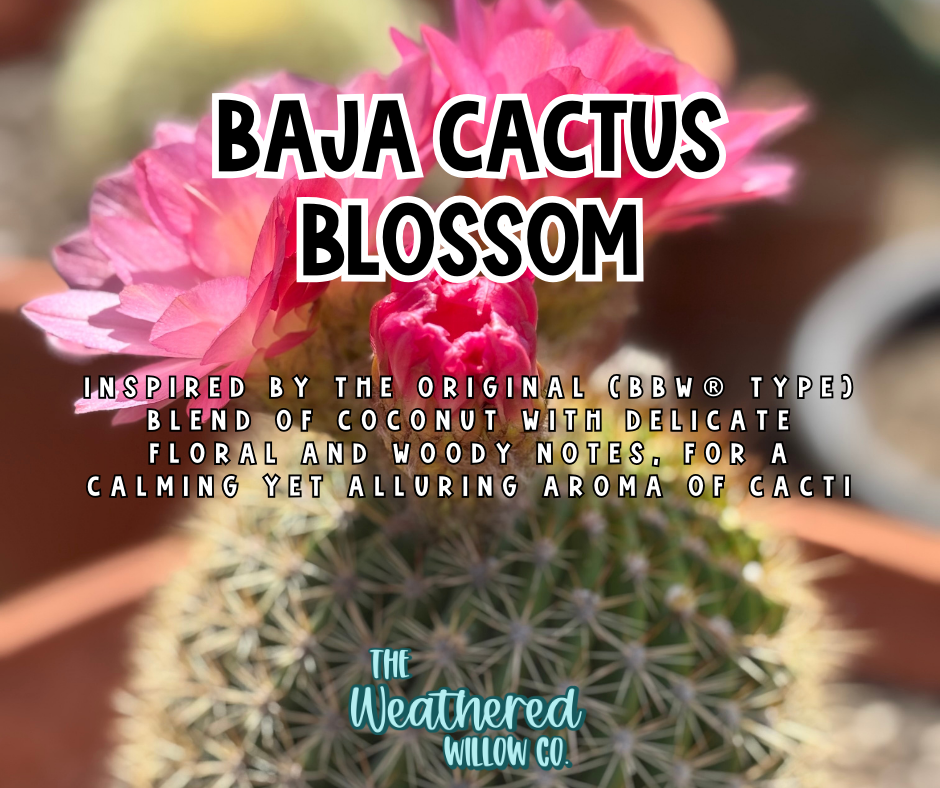 Baja Cactus Blossom - 16oz Scented Aroma Beads