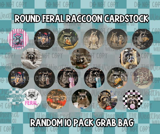 Circle Feral Raccoon - Premium Cardstock Grab Bag